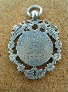 medal_for_nelson