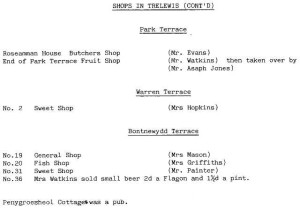 shops_in_trelewis_part_two